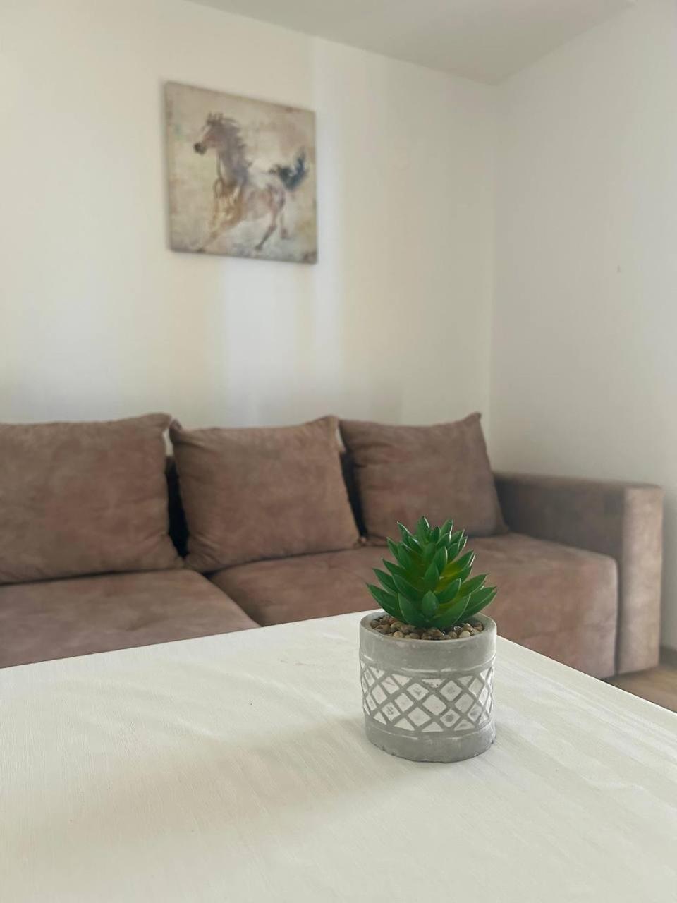 Apartmani Stari Grad Sutomore Exterior foto